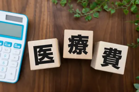 一人暮らしの母親のため、病院代は私が負担しています。「母の分」の「医療費」も私の「医療費控除」に加算できますか？