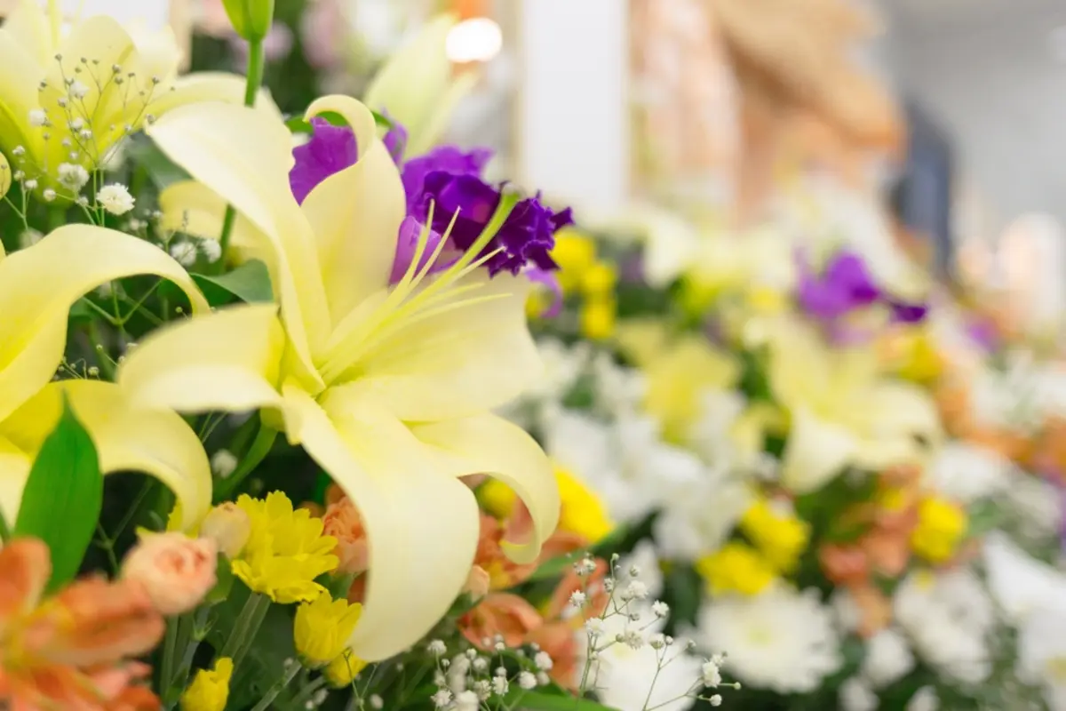 父から相続した「4000万円」から葬儀関連費用「500万円」を支払いました。葬儀費用は控除されるので、相続税はかからないでしょうか？