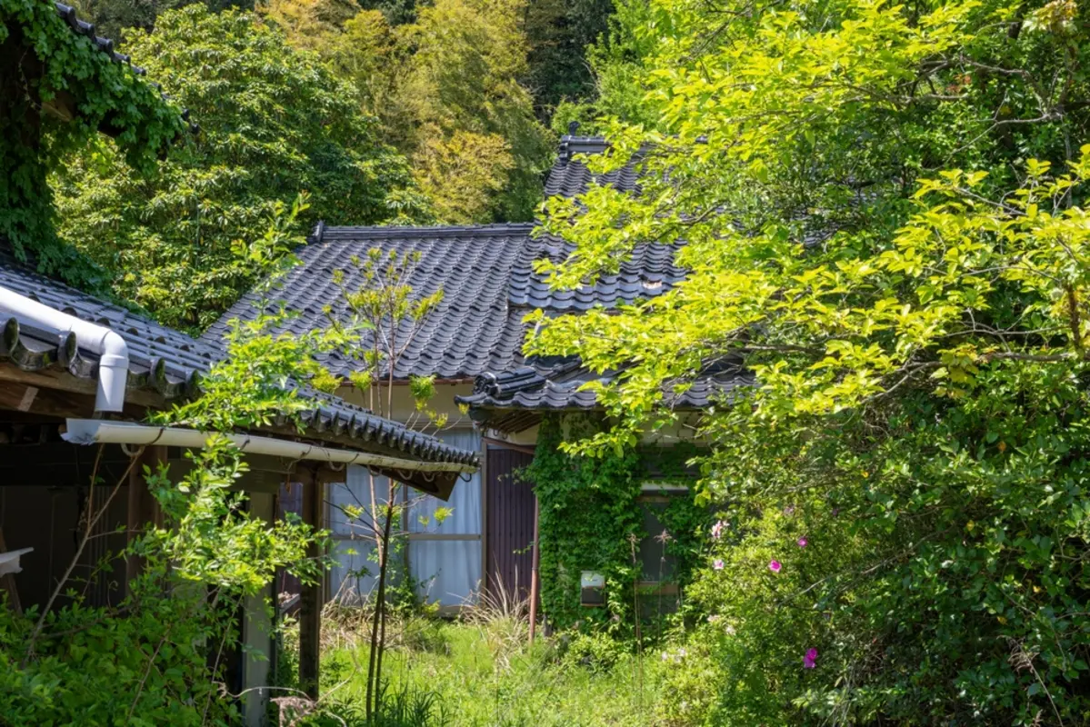 田舎の実家を相続しましたが”空き家”状態です。放っておくと固定資産税が上がると聞いたのですが、早めに手放した方がいいでしょうか？
