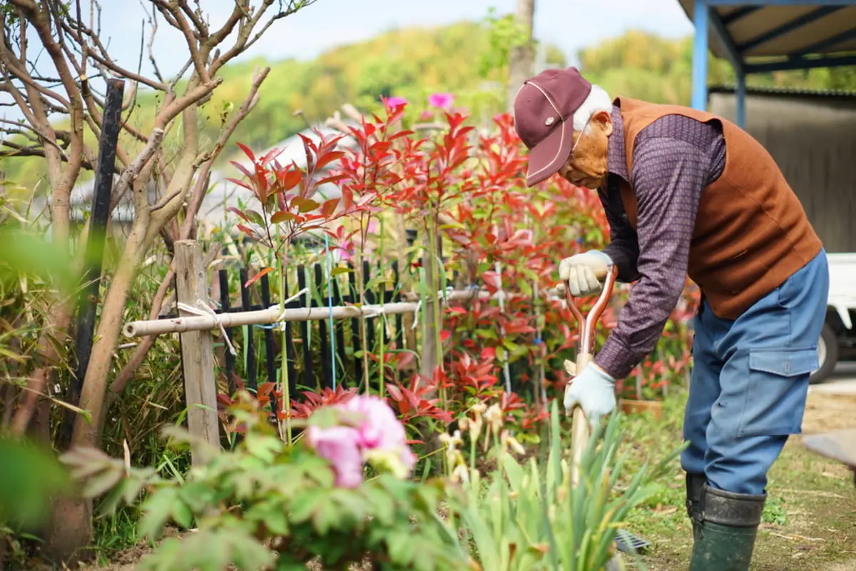「定年後も働く人」が「増えている」と聞きました。具体的にどのような「仕事」に就いているのでしょうか？