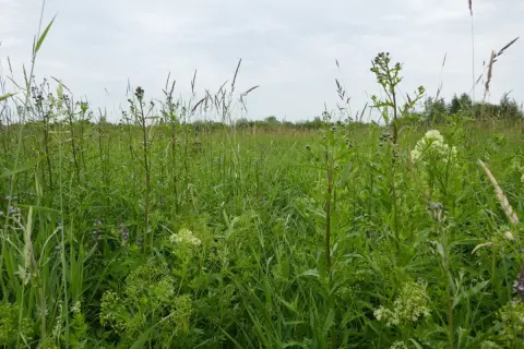 「固定資産税6倍」の衝撃…実家の土地を放置すると“年間15万円→90万円”負担に！どう防ぐ？