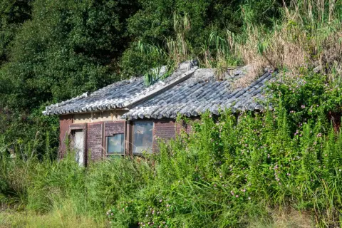 相続した“空き家”が売れず、誰にも引き取ってもらえません……。管理や税金など、今後“どのくらいのお金”が必要になるのでしょうか？