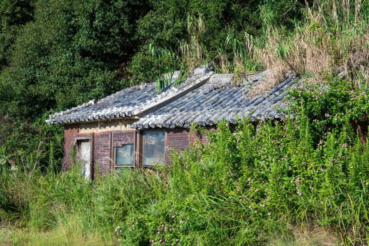 相続した“空き家”が売れず、誰にも引き取ってもらえません……。管理や税金など、今後“どのくらいのお金”が必要になるのでしょうか？
