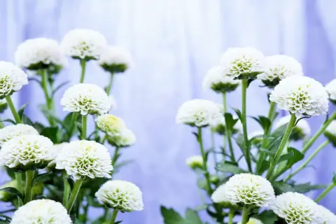 兄は遠方に住んでいたため、私一人で母の介護を5年続けました。母の遺産「2000万円」は、介護をしなかった兄と平等に分けなければいけないのでしょうか？