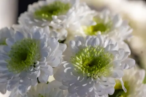 職場の事故で家族（夫）が亡くなった場合、労災保険と厚生年金の両方で申請できるのでしょうか？ 「遺族（補償）給付」と「遺族厚生年金」について解説！