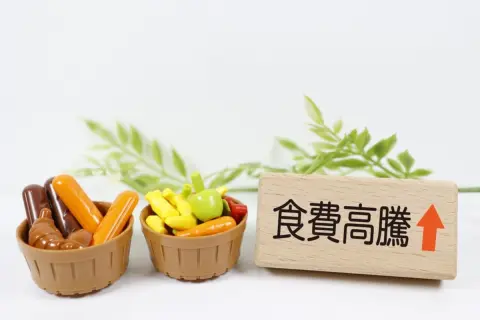 わが家の食費は「4人家族・月10万円」です。値上げが続き厳しいですが、平均と比べて高すぎますか？ 総務省のデータをもとに確認