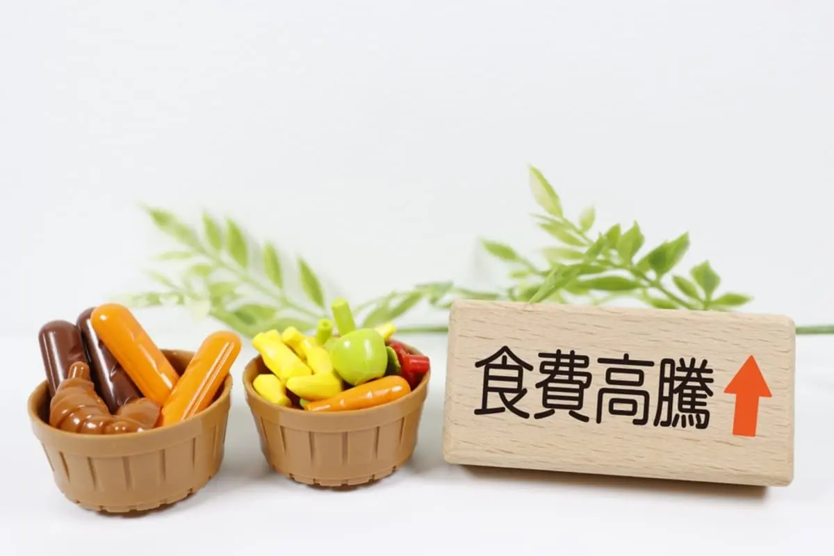 わが家の食費は「4人家族・月10万円」です。値上げが続き厳しいですが、平均と比べて高すぎますか？ 総務省のデータをもとに確認