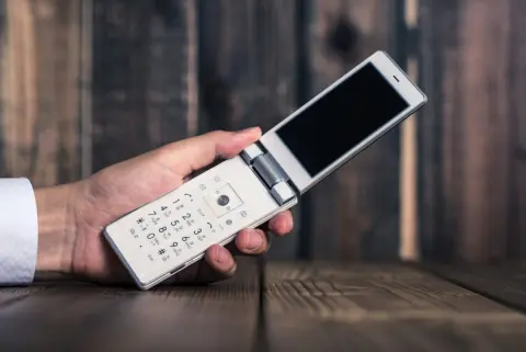 実家で昔の「ガラケー」を発見！ 捨てようとしたら「1万円くらいで売れる」と兄に言われましたが、本当にそれだけの価値があるのでしょうか？