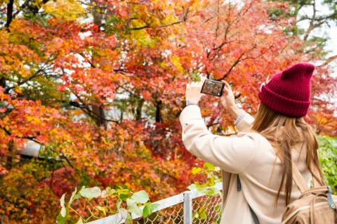 秋のイベントで“ギガ不足”に備えるなら。「ギガの永久繰り越し」ができるy.u mobileの魅力とは？