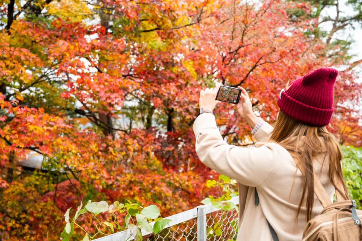 秋のイベントで“ギガ不足”に備えるなら。「ギガの永久繰り越し」ができるy.u mobileの魅力とは？