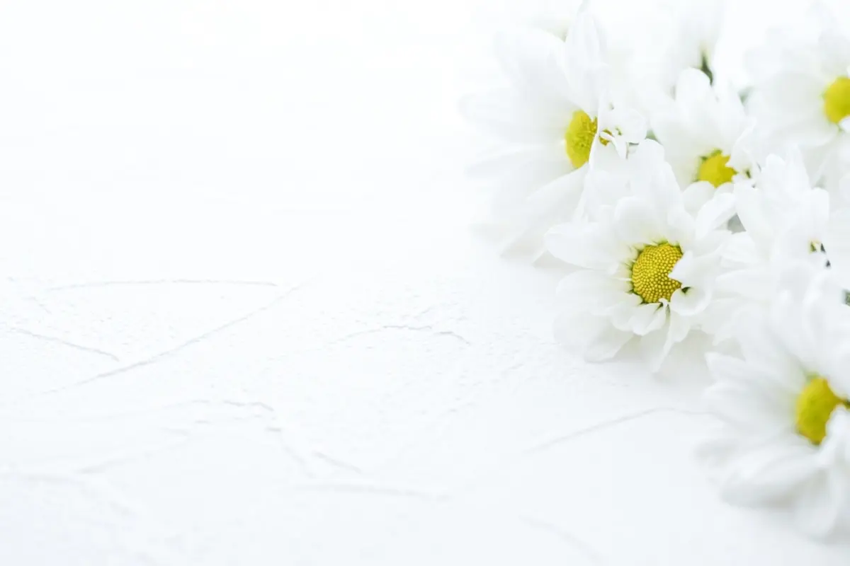 内縁の夫が亡くなりました。籍は入れていませんが、一緒に生活していました。遺族年金はもらえるのでしょうか？