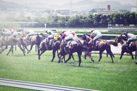 【G1】天皇賞で「100万円」当たった！ 宝くじと同じで“税金は払わなくてもいい”ですよね？ 馬券を「20万円分」購入したケースで確認