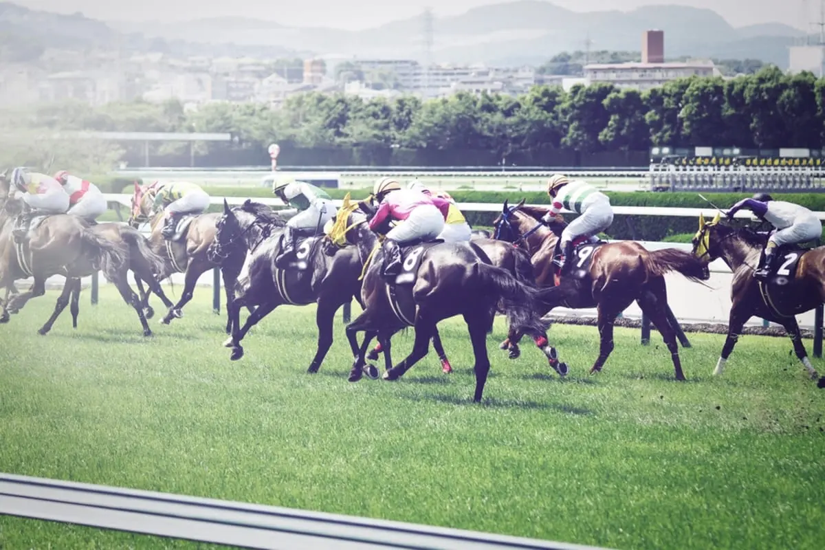 【G1】天皇賞で「100万円」当たった！ 宝くじと同じで“税金は払わなくてもいい”ですよね？ 馬券を「20万円分」購入したケースで確認