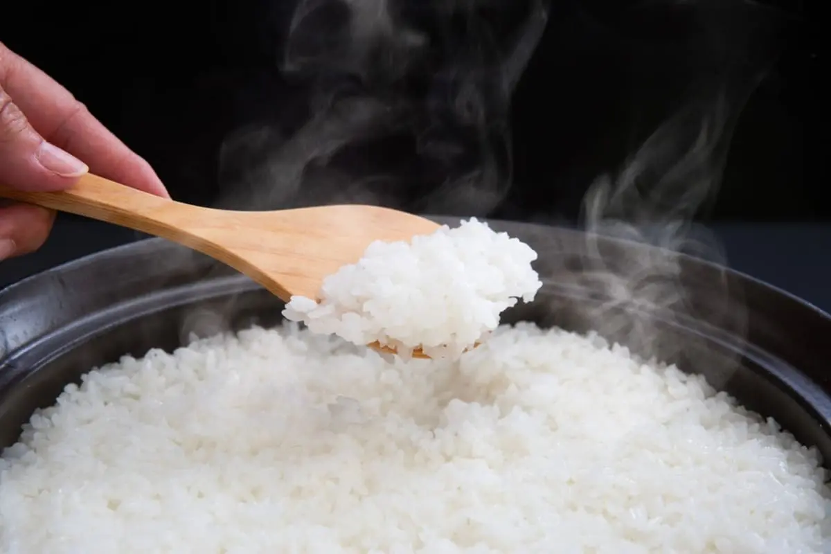 朝に「ご飯3食分」を炊いて、炊飯器で保温しています。ママ友は「冷凍してレンチン」だそうですが、実際どちらが安いのでしょうか？“1日・1ヶ月の電気代”を比較