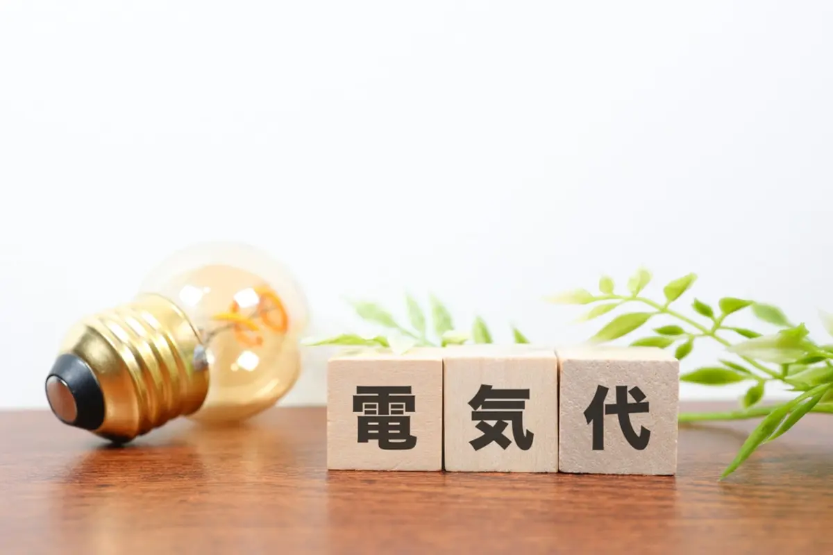 電気契約を「40A→30A」に変えた友人は“年間3000円節約”に成功！ ただ「ドライヤー＋電子レンジ」の同時使用で“ブレーカーが落ちる”そうです…アンペア数は下げないほうがいいですか？