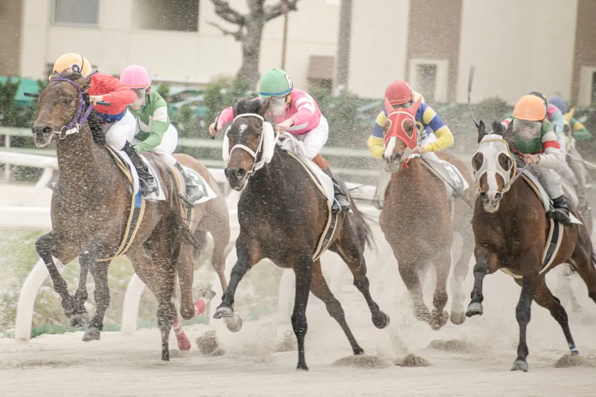 彼氏が競馬で100万円勝ち、思わぬ「臨時収入」が入りました。初めてのことでよくわからないのですが、税金の手続きなど必要なのでしょうか？