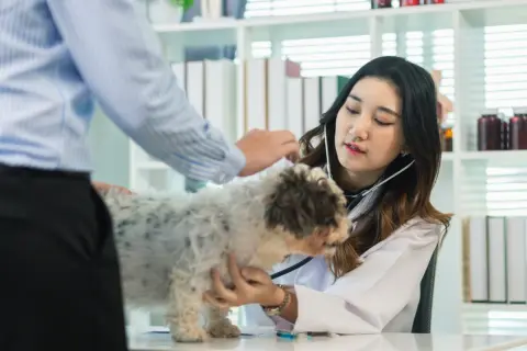 娘は獣医を目指しているのですが、「ペット専門」と「家畜専門」で悩んでいます。専門によって収入は変わるのでしょうか？