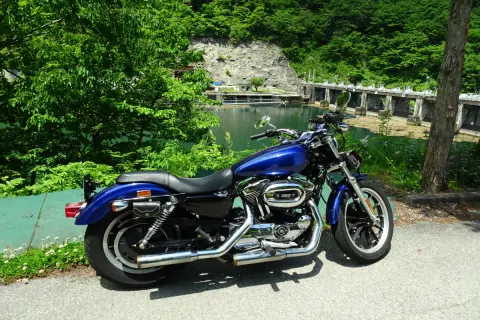 もうすぐ定年、退職祝いで憧れのハーレーの「ロードグライド」を買いたい！ 乗り出し“400万円以上”するそうですが、夫婦で貯めた“3000万円の貯蓄”もあるし「向こう30年」の“維持費や生活費”は賄えますよね？