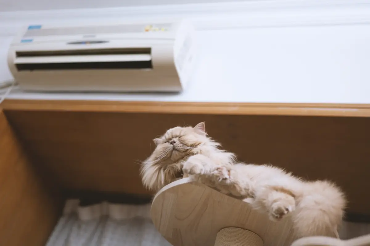飼い猫のためにエアコンを毎日「24時間つけっぱなし」にしています。1ヶ月の電気代はいくらになりますか？