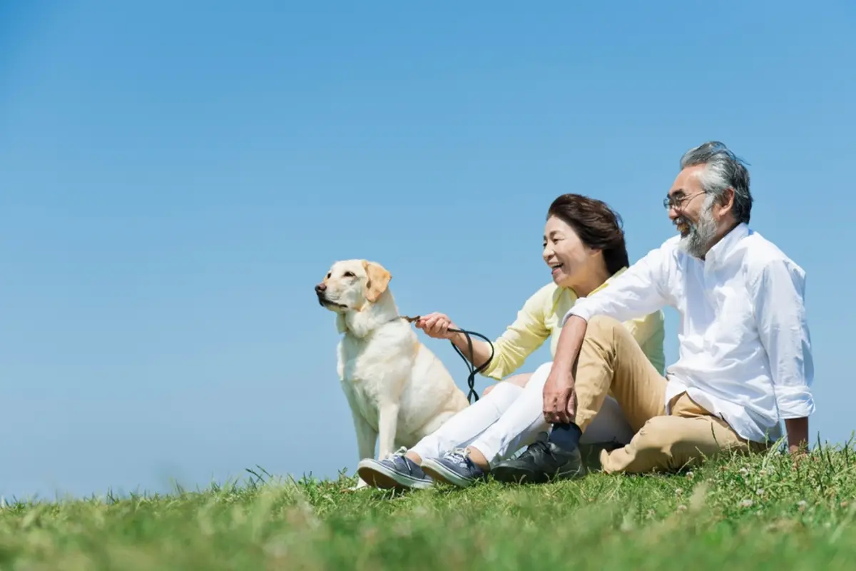 60代の両親の貯金が「300万円」と知り心配です…「年金は十分もらえるから」と言うのですが、2人で月20万円、本当に足りるでしょうか？