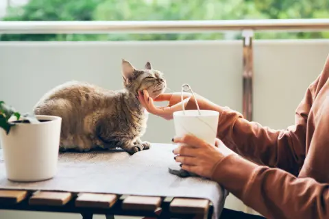 現在公営住宅に住んでいますが、娘が“ペットを飼っている人”がいると、言います。原則禁止と聞いていたのですが、条件付きで認められるケースもあるのでしょうか？