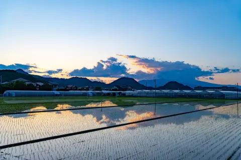 夫が定年後に「地方移住」をしたいと言い出しました。年金と貯蓄「2000万円」だけで、地方での生活は現実的に成り立つのでしょうか？