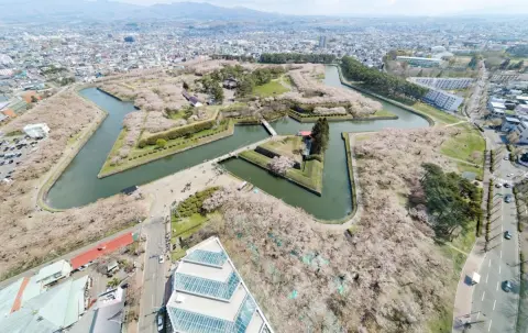 『名探偵コナン』映画の聖地効果——函館の観光客が前年比10%増えた仕組みを検証