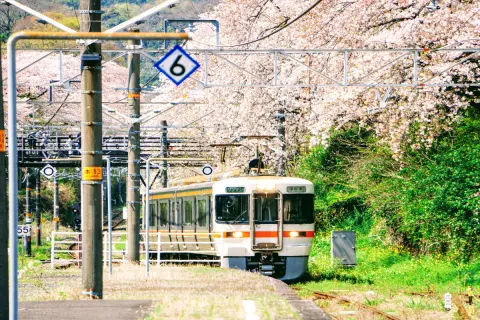 “3日間用1万円”の「青春18きっぷ」で春旅を計画中です。3月14日からJR東日本の運賃が変わったそうですが、東京駅から「沼津」や「日光」まで行けば“元が取れる”でしょうか？ 損をしないための「分岐点」を確認