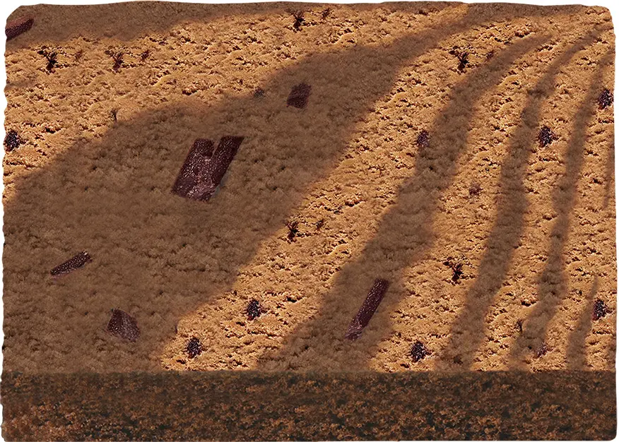 画像2 ポムポムプリン