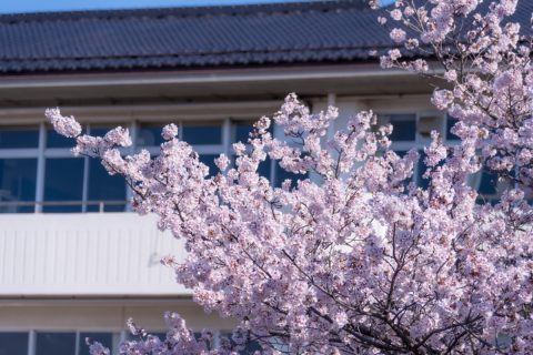 子どもの教育費に備えて「学資保険」と「積立保険」で迷っています。将来の受取金額だけでなく、税金や生命保険料控除まで考えると、どちらのほうが手取りとして残りやすいのでしょうか？