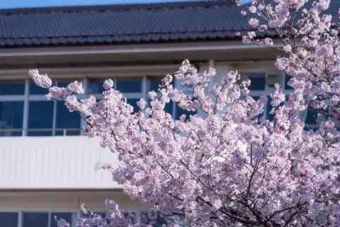 子どもの教育費に備えて「学資保険」と「積立保険」で迷っています。将来の受取金額だけでなく、税金や生命保険料控除まで考えると、どちらのほうが手取りとして残りやすいのでしょうか？