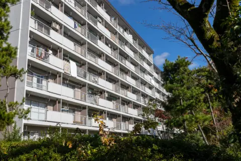 都営住宅への入居を検討しています。年間の所得によって入居可否が変わる以外で、条件はありますか？