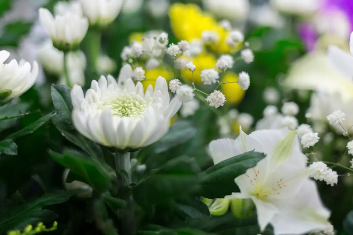 父の葬儀代150万円の見積もり。父の口座から引き出して支払うのは可能ですか？ また、支払いをした後でも相続放棄はできるでしょうか？