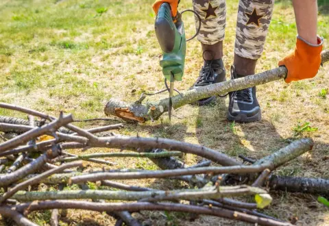 空き家の実家で“伸び放題の庭木”を伐採！→翌年から「固定資産税が6倍」になりショック…ちゃんと管理したのにナゼ？ 注意が必要な判断基準を解説