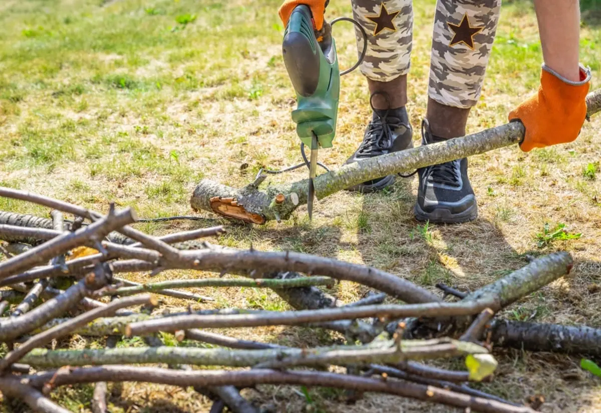 空き家の実家で“伸び放題の庭木”を伐採！→翌年から「固定資産税が6倍」になりショック…ちゃんと管理したのにナゼ？ 注意が必要な判断基準を解説