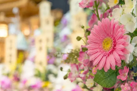 母が他界しました。父も3年前に亡くなっているのですが、ひとり息子の私は遺族年金を受け取れますか？