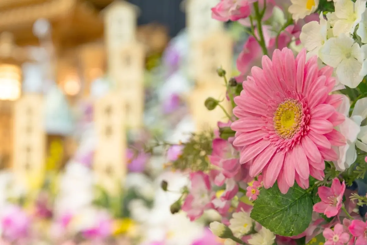 母が他界しました。父も3年前に亡くなっているのですが、ひとり息子の私は遺族年金を受け取れますか？