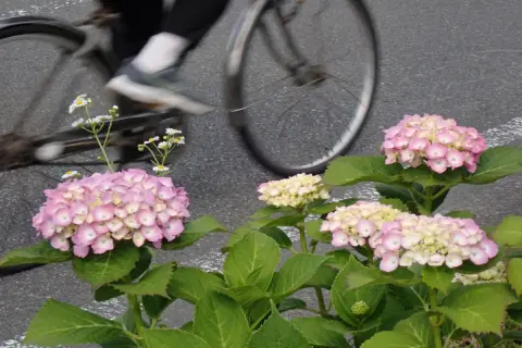 「傘を固定すればセーフ」と豪語する自転車通勤の妻。傘差し運転は「5000円の反則金」だそうですが、「傘スタンド」なら本当に大丈夫なのでしょうか？