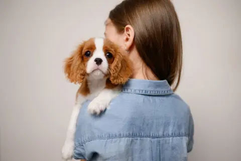 友人に「愛犬を1万円で5日、預かって」と言われた！ 犬好きなので楽しみにしてたら、夫に「万一のとき責任とれる？」と言われガッカリ…お金をもらって預かるのは“やめるべき”ですか？