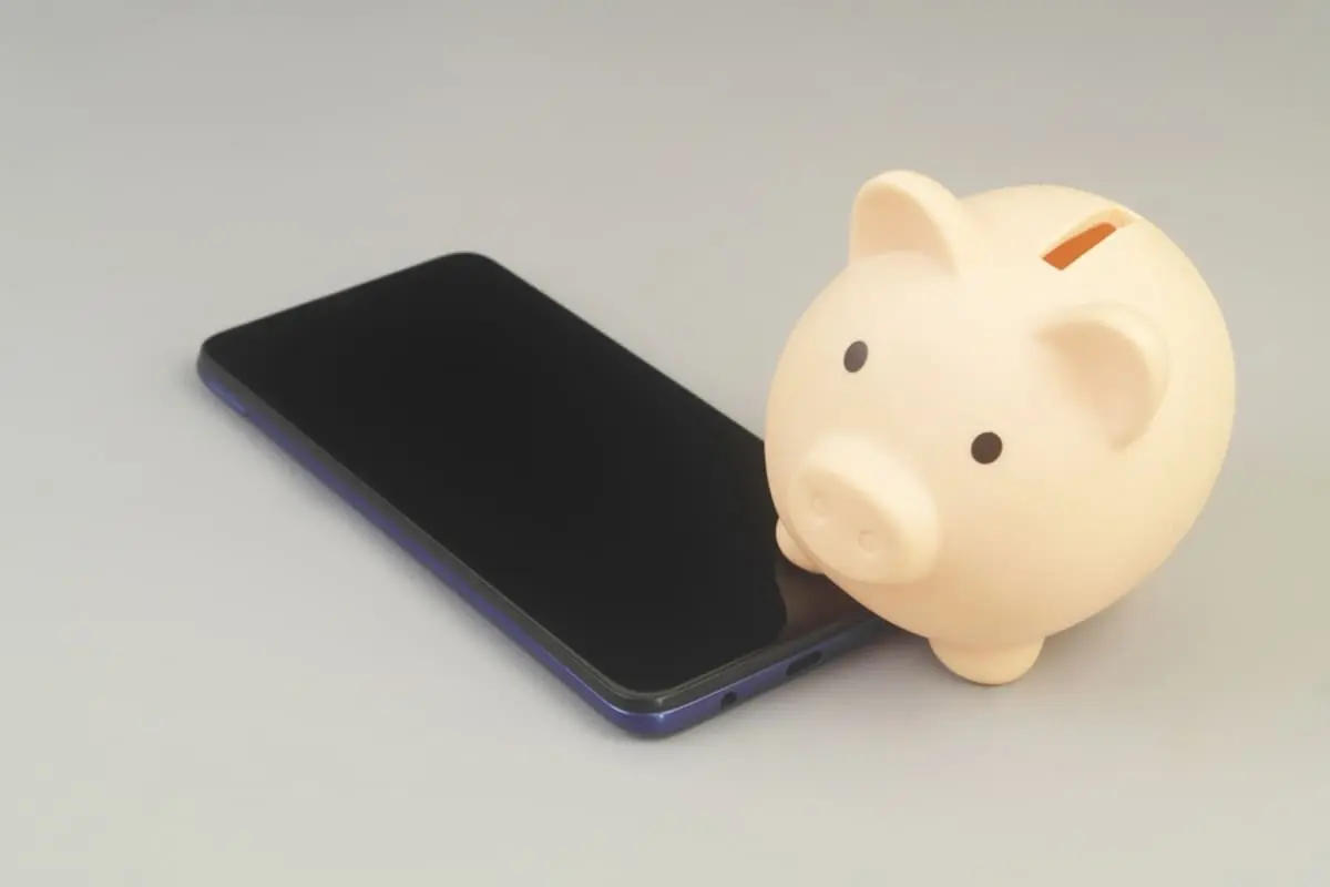 「格安SIM」は安いと聞きますが、結局オプションをつけると大手キャリアと変わらないのでしょうか？