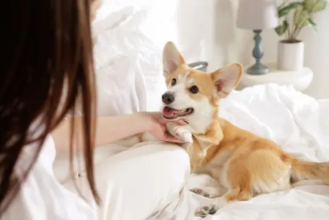 SNS「犬を飼うと700万円の損」「投資に回すべき」に批判殺到！ 生涯の費用は“270万～600万円”!? それでも飼い主から「愛犬のいない人生が損失」「飼うしか選択肢にない」の意見が相次ぐ理由