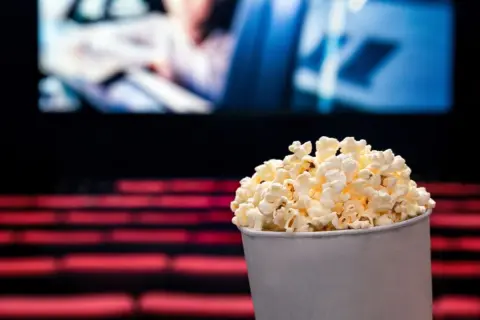 年金「月8万円」で暮らす母は、毎月2回「映画館」に行くのを楽しみにしています。姉は「年金生活なのにぜいたく」と言いますが、老後の娯楽費として高すぎるのでしょうか？ 老後の家計を確認