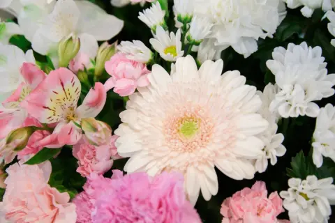 「あんなに年金保険料を払ってきたのに…」65歳の誕生月直前に母が急死。遺族には1円も支払われないなんて到底納得できないのですが、本当に「払い損」になるのでしょうか？