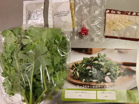 【実録】Oisixで「1人分約470円のサラダ」を作ってみた結果…スーパーなら「約550円」だけど、実際“継続する価値”はある？ 家族からは「高い味がする」「ドレッシングがおいしい」と好評