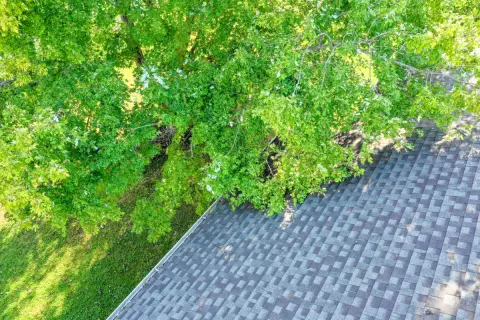 隣の空き家の木で屋根が破損！修理代「50万円」は自腹!? イライラして“勝手に枝を切る”と「器物損壊」で逮捕されるって本当ですか？