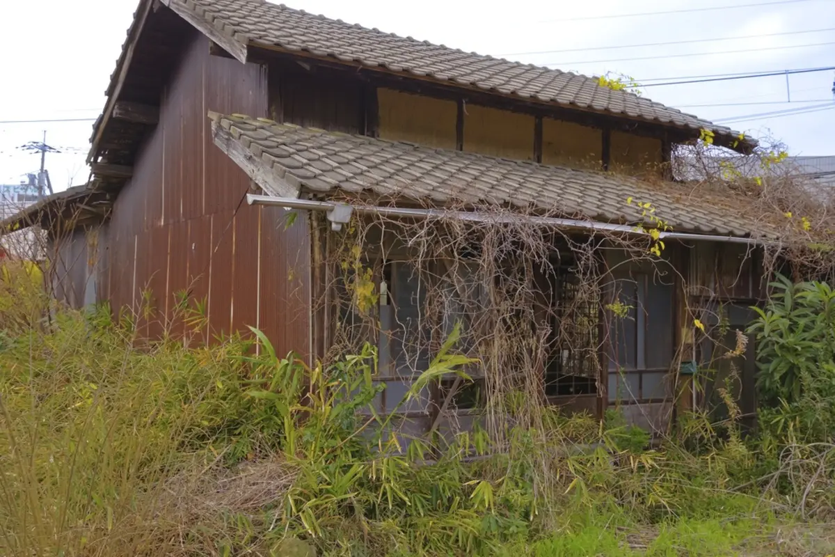 都営住宅に住んでいますが、母が亡くなったため「3000万円相当」の実家を相続することに。“不動産”を所有すると、都営住宅には住み続けられなくなるのでしょうか…？