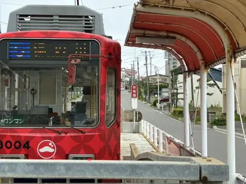 友人に「函館は都会だから車いらない」と言われた！ でも“雪国”なのに「市電・バス」だけで本当に暮らせるのでしょうか？「年間の移動費」を比較