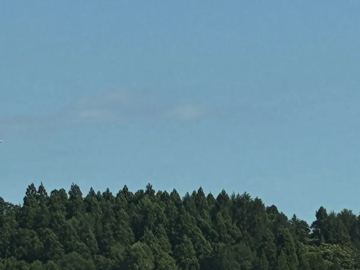 写真1