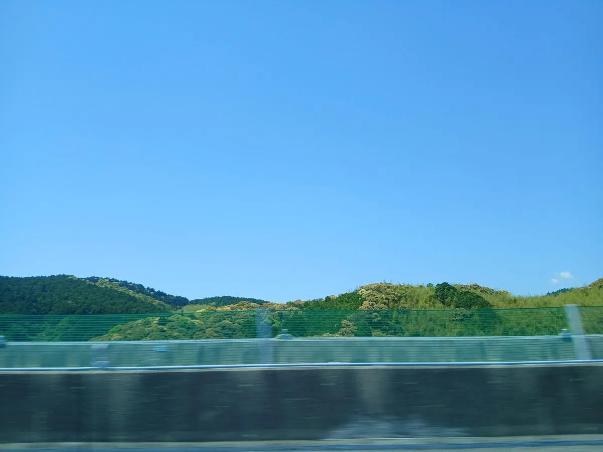 写真1