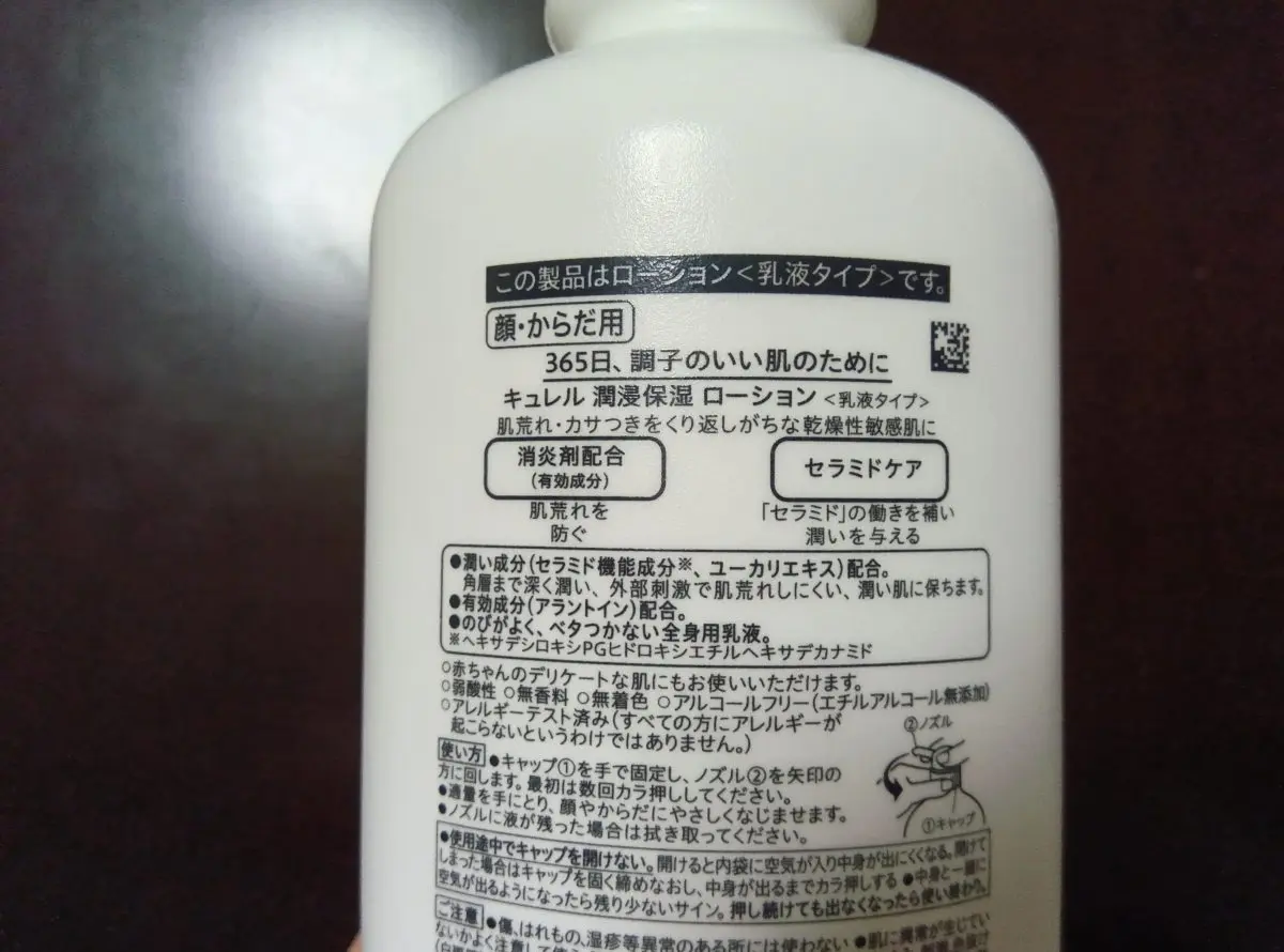 写真1